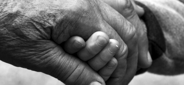 Un anziano amico in Clarina cerca compagnia